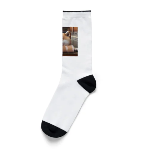 ほっこり柴犬 Socks