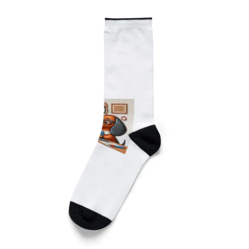 大注目の「デスクワークのプロ　ダックス」！ Socks