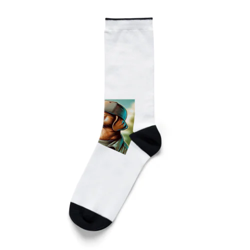 キャップ犬7 Socks