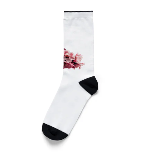 桜 Socks