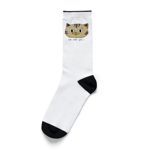 お見通し猫 Socks