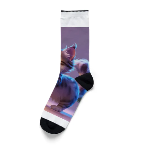 猫と蝶々 Socks