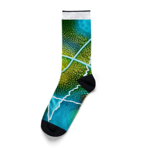 宇宙の道 Socks