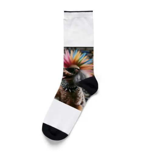 ロック犬 Socks