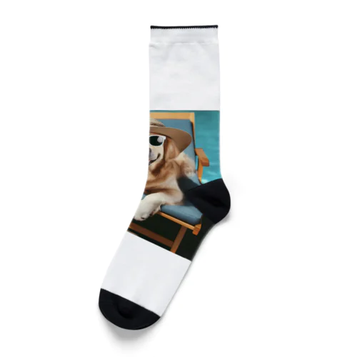 chill犬 Socks