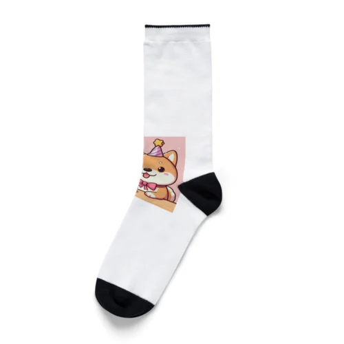 柴犬がカラフルなスタンプ Socks