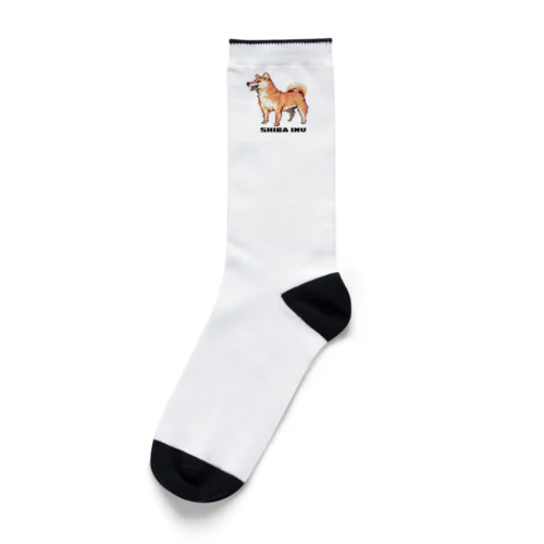 ドット絵柴犬 Socks