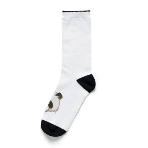 大熊猫（お顔とか） Socks