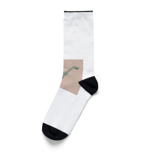 いちおうアルゼンチノサウルス Socks