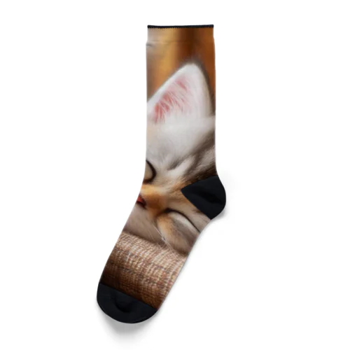 眠るにゃんこ😺zzz Socks