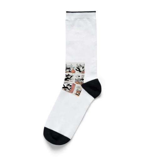 ブラックキャット Socks