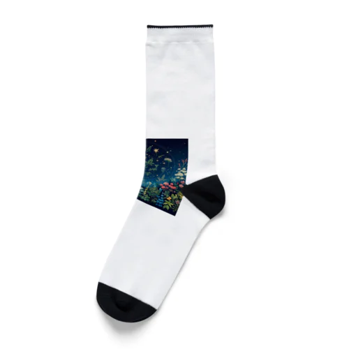 星彩植譜 Socks