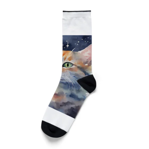 宇宙猫 Socks