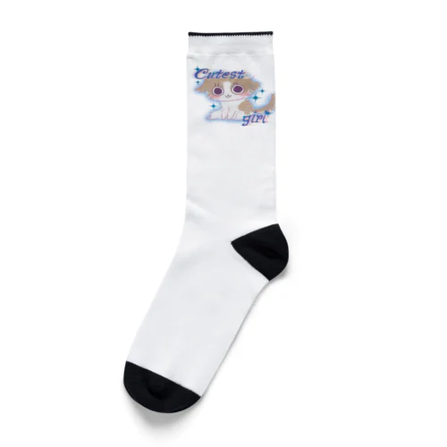 かわいいわんこ🐶💖 Socks