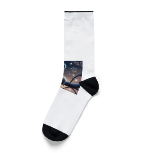 月明かりの下で🌙 Socks