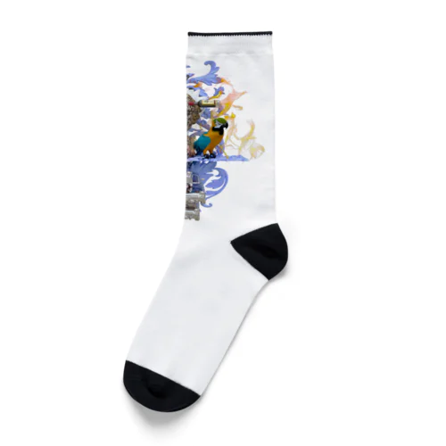 マッドパピー Socks