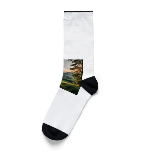 風景を眺める恋  Socks