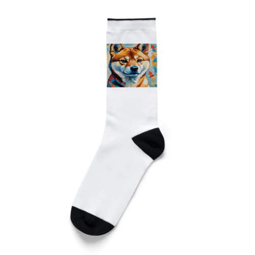 柴犬の幾何学 Socks