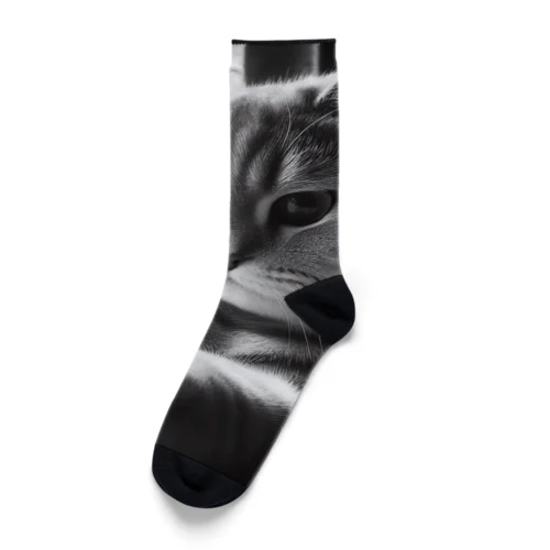 Dependence Socks