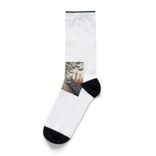 money Socks