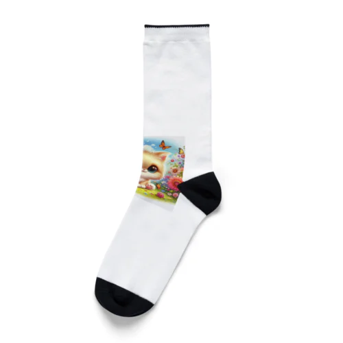 めちゃかわイッヌシリーズ Socks