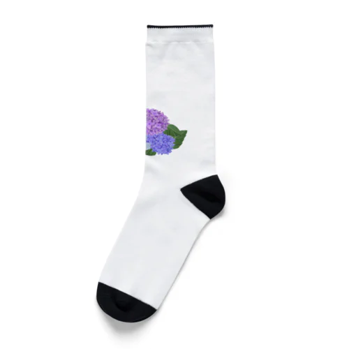 紫陽花とカッコウの舞 Socks