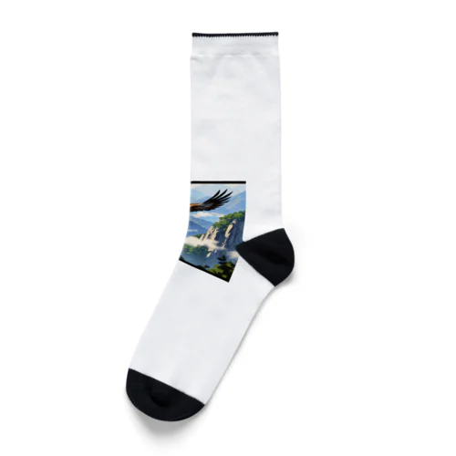 コアラップンでスケートボード体験 Socks