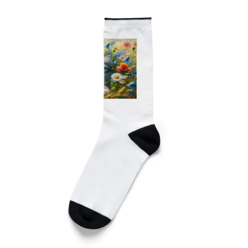 猫ちゃん Socks