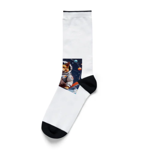 宇宙犬 Socks