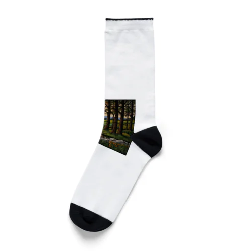 ヨーロッパの田舎のステンドグラス Socks