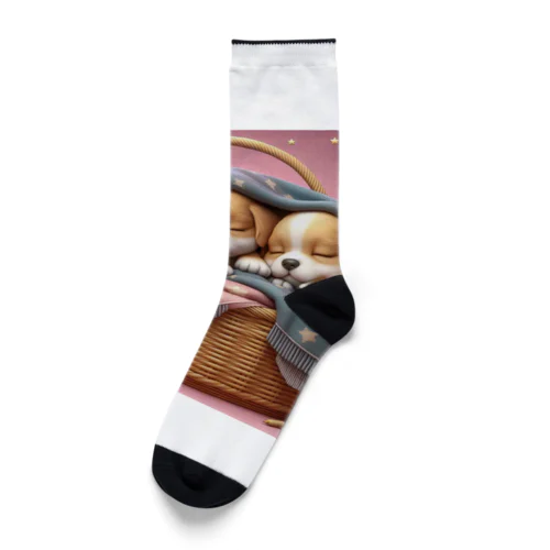 第②弾！ほっこり♡ ふわふわ子犬 Socks