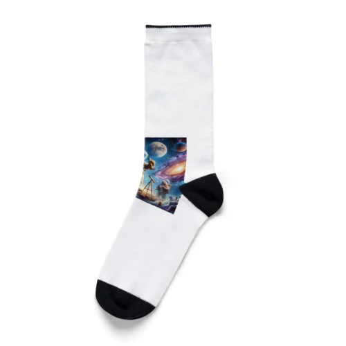くまと宇宙 Socks