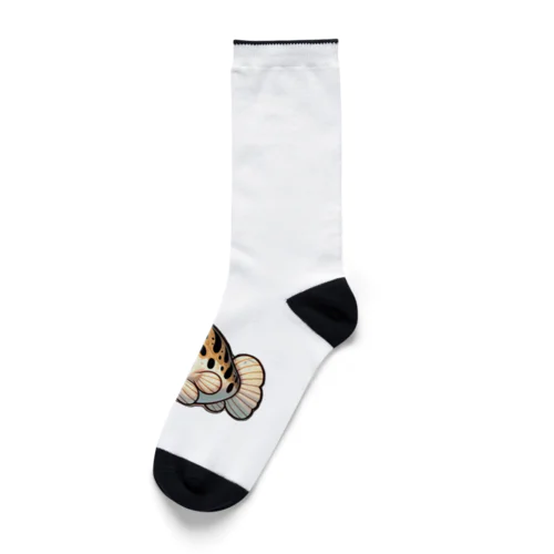 コリドラスくん Socks