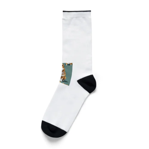 ピクセル柴犬 Socks