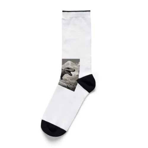 白黒恐竜 Socks