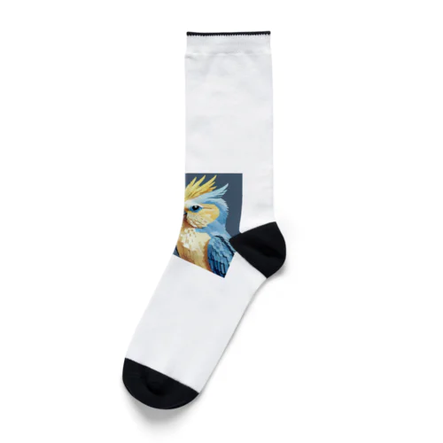 オカメインコとセキセイインコ Socks