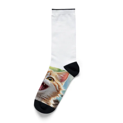 かわいい笑顔がたまらない子猫 Socks