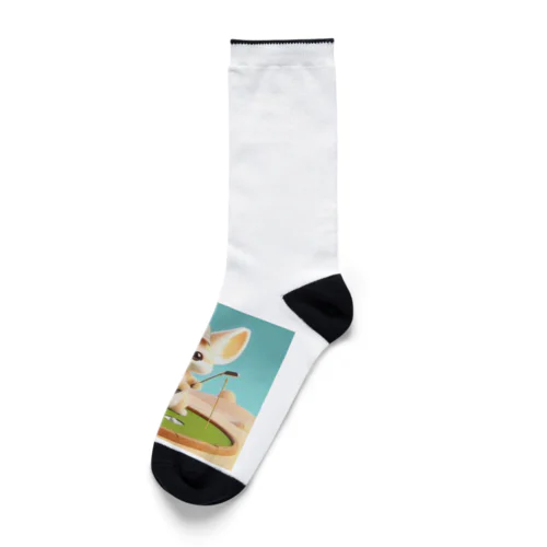 初心者ゴルファーフェネック Socks