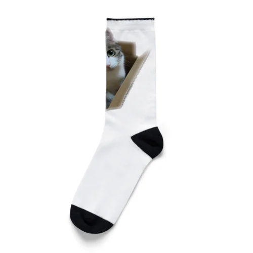 箱入り娘 Socks