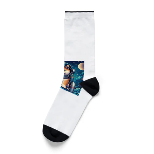 スペースドック2 Socks