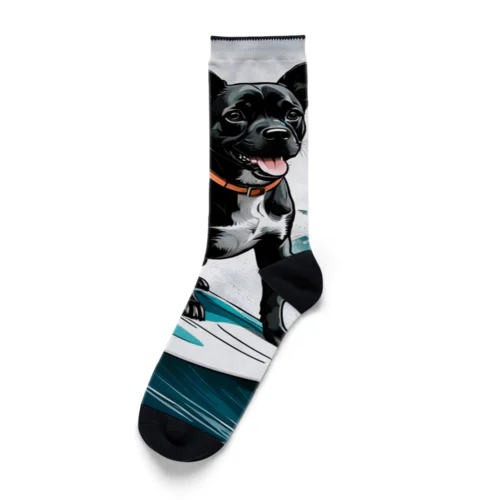 おいら波乗り🐕犬サーファー🏄 Socks