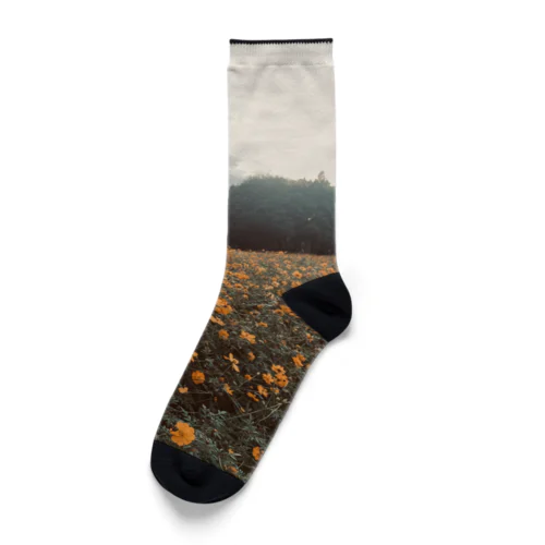 闇花 Socks