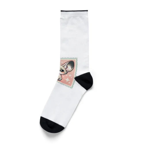 耳長フェネックちゃん21 Socks