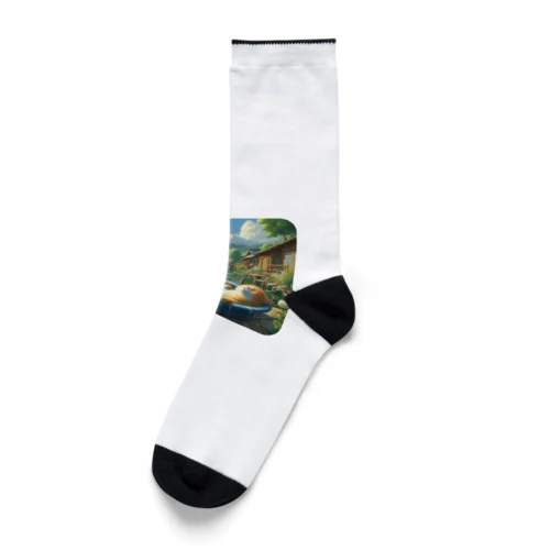 眠りネコ Socks