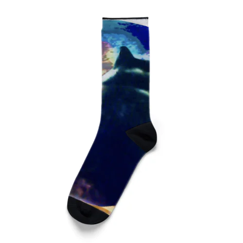 OPEN THE TORA  Socks