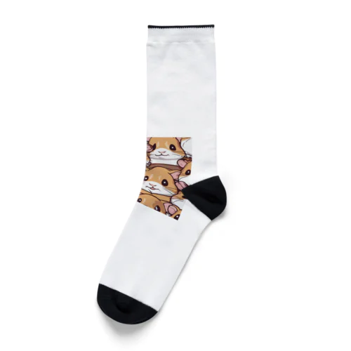 かわいいハムスター Socks