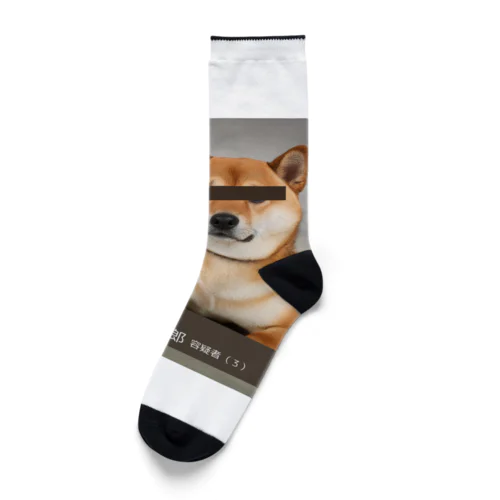 柴犬容疑者 Socks