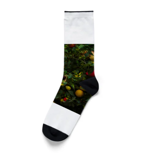 大地の恵み Socks