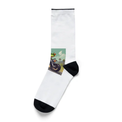 カエルライダー4兄弟　次男　ルカ Socks