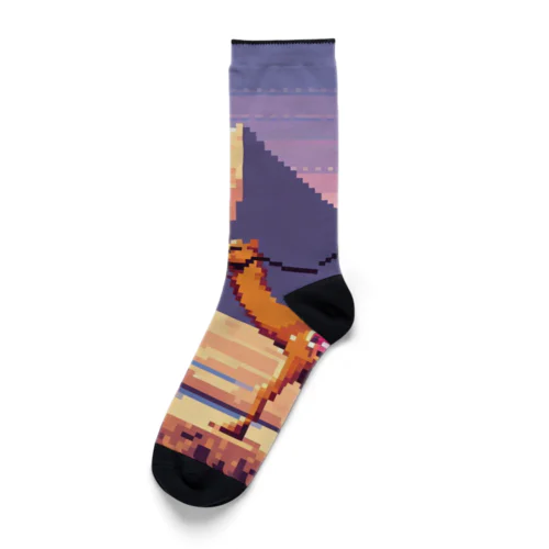 砂漠のオアシス Socks